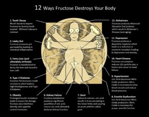 How Fructose Affects the Brain